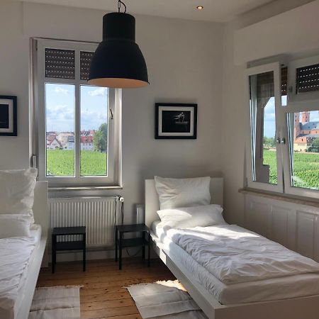 Luxe Apartment Am Rhein Worms Buitenkant foto